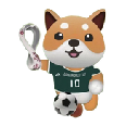 DOGE WORLD CUP