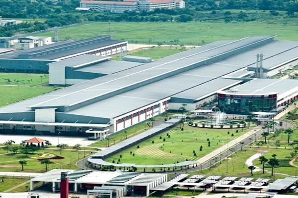 Sampoerna Agro (SGRO) Optimistis Performa Positif, Ini Alasannya
