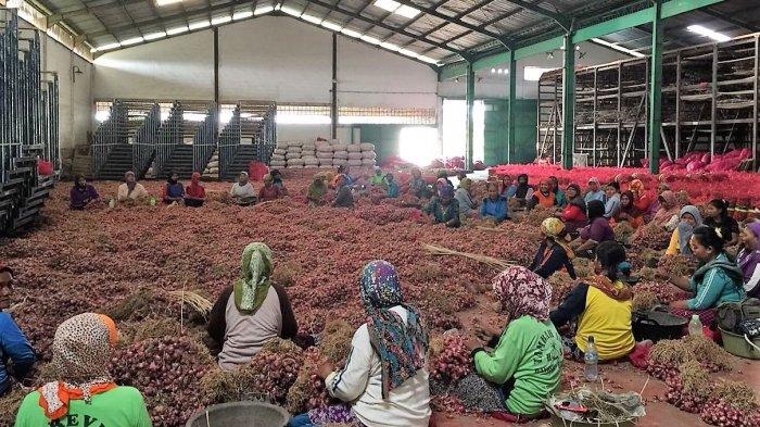 Kemendag-Bappenas Siapkan Percontohan Gudang Korporasi Petani Senilai Rp50 Miliar
