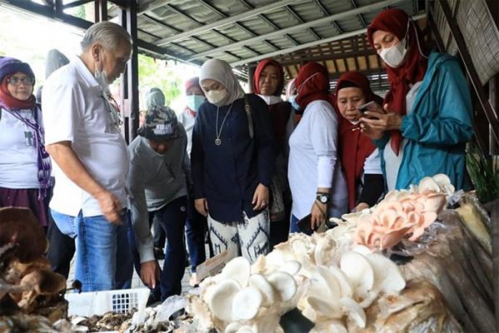 Potensi Menjanjikan, Menaker Ajak Generasi Muda Jadi Petani Jamur