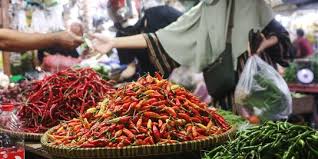 Tenang! Mentan Jamin Pasokan Cabai Cukup Sampai Ramadan dan Idul Fitri 2022