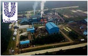 Harga Saham Dalam Tren Koreksi, Direktur Malah Borong Saham UNVR Miliaran Rupiah