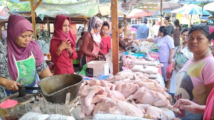 Pedagang daging ayam melayani pembeli. dok. Tribunnews..jpg Ditinggal Malaysia, Singapura Krisis Daging Ayam, Ini yang Dilakukan Indonesia