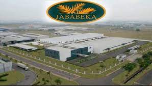 Waduh! Fitch Revisi Outlook Jababeka (KIJA) Jadi Negatif di ‘B-’