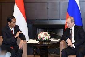 Presiden Joko Widodo berdialog dengan Presiden Vladimir Putin. dok. Biro Pers Sekretariat Presiden. Bertemu di Kremlin, Putin Ingatkan Jokowi Soal Jasa Rusia Bantu RI di Awal Kemerdekaan