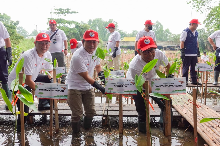 Kepala PPATK, Ivan Yustiavandana (kanan), Direktur Kepatuhan Bank DKI, Ateng Rivai (tengah) dan Kepala Biro Umum PPATK, Muhammad Novian (kiri) menanam 5.000 bibit Mangrove, dalam Rangka Peringatan 2 Dekade Gerakan APU PPT di Kawasan Ekowisata Mangrove Pantai Indah Kapuk, Jakarta, Rabu (6/7/2022). dok. ist. Program CSR Bank DKI, Penanaman 5 Ribu Bibit Mangrove di Ekowisata Pantai Indah Kapuk