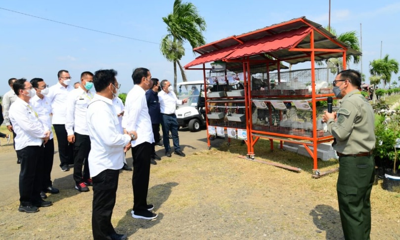 Presiden: Pangan Jangan Hanya Tergantung Pada Beras