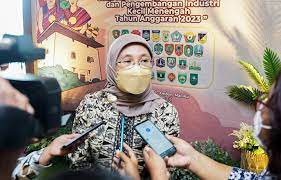 Direktur Jenderal IKMA Kemenperin Reni Yanita. dok. Kemenperin.go.id. Konsisten Tingkatkan Populasi IKM, Kemenperin Latih Ribuan Wirausaha Baru