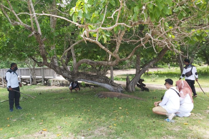 Taman Nasional Komodo, NTT. dok. inilah.com. Cari Solusi Soal Tarif Taman Nasional Komodo, Menteri Sandi Ajak Dialog Pelaku Wisata