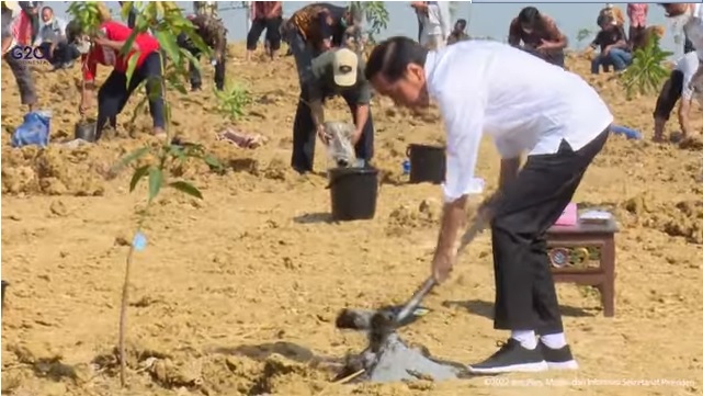 Dalam Tiga Tahun Lumbung Pangan Mangga Diharapkan Bisa Penuhi Pasar Domestik dan Impor