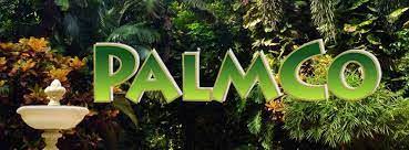 Palmco. dok. Internasionalmedia. 2023, Holding PTPN Berencana IPO Subholding Kelapa Sawit Palmco