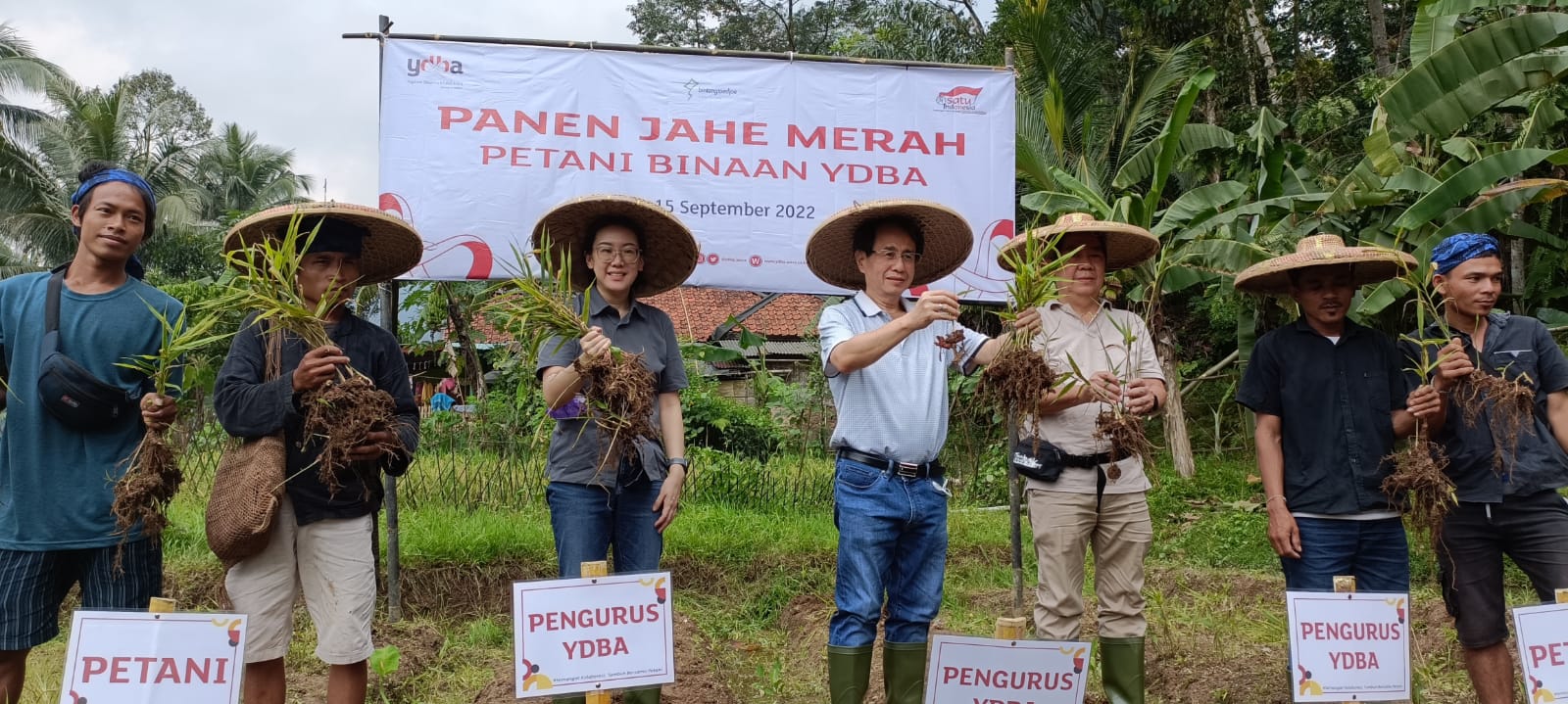 Ketua Pengurus Yayasan Dharma Bhakti Astra (YDBA), Sigit P. Kumala (tengah); Bendahara Pengurus YDBA, Handoko Pranoto (ketiga kanan) ; Pengurus YDBA, Vilia Husin (ketiga kiri) serta para petani binaan YDBA saat melakukan kegiatan panen jahe merah di Lebak, Banten (15/9/2022). dok. ist. Petani Jahe Merah Lebak Banten Binaan YDBA Hasilkan Panen 32,5 Ton