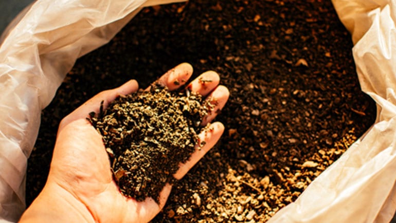 Tingkatkan Produktivitas, Kementan Masifkan Penggunaan Pupuk Organik