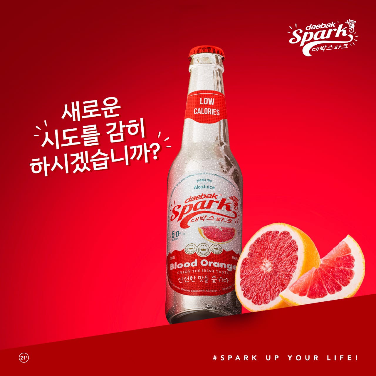 Daebak Spark, Produk Baru Jobobu (BEER) Minuman Beralkohol Yang Terbuat dari Teh