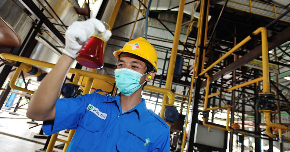 Emiten Milik TP Rachmat (DSNG) Catat Produksi CPO Naik 17 Persen Pada 2022