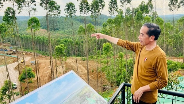 Presiden Mau Bangun Training Center Dengan 8 Lapangan Sepak Bola di IKN