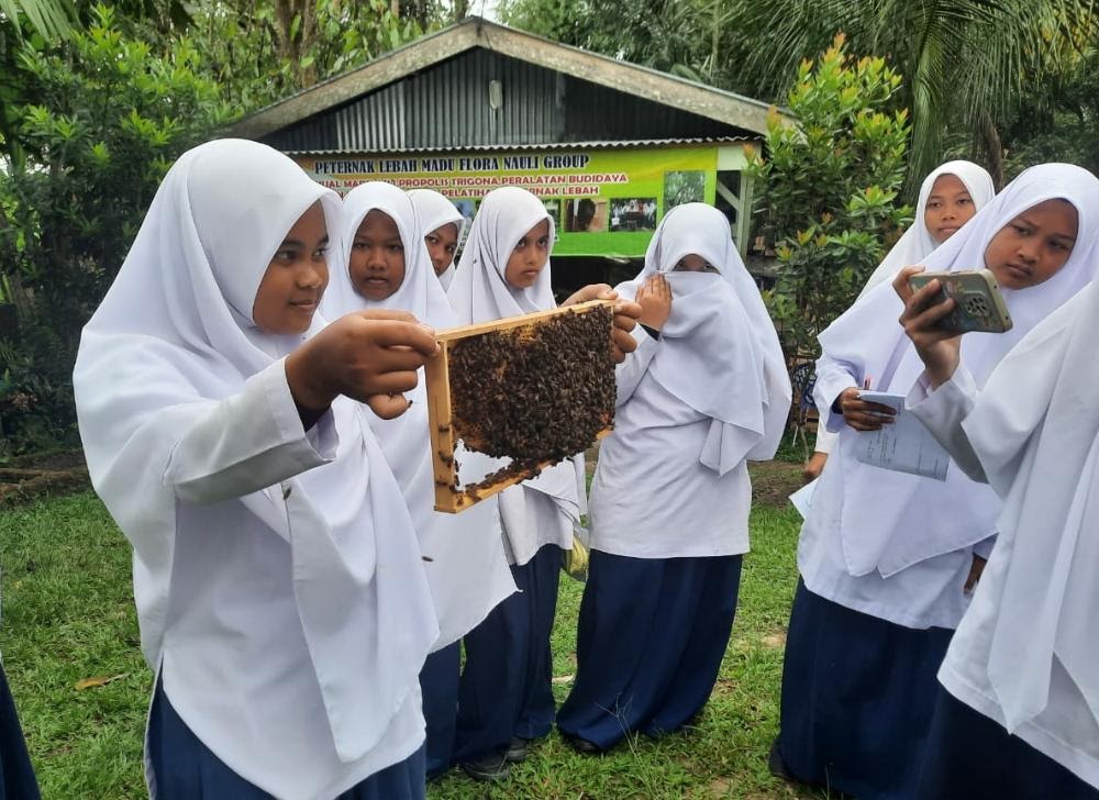Kisah Pengusaha Madu Siantar Raih Sukses Dan Berdayakan Masyarakat, Sukses Bersama BRI