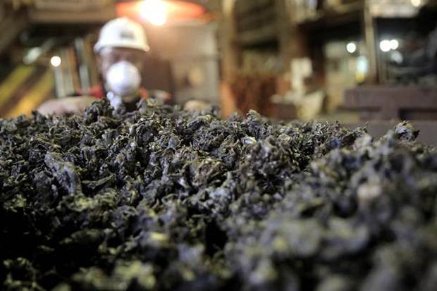 19,30 Persen dari Laba, RUPS PAM Mineral (NICL) Restui Pembagian Dividen Rp28,98 Miliar
