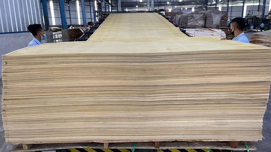 Wijaya Cahaya Timber (FWCT) Kantongi Pinjaman Rp35 Miliar