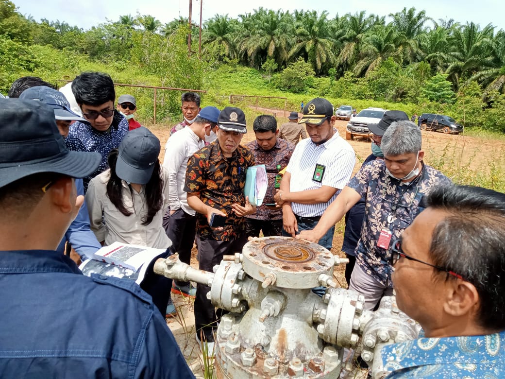 KLHK Menangkan Banding Gugatan Hukum Terkait Kawasan Suaka Margasatwa Balai Raja