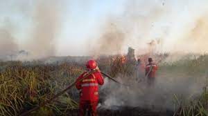 Kebakaran hutan dan lahan di Palangkaraya, Kalimantan Tengah (Kalteng) sulit dipadamkan karena terkendala sumber air. dok. tvOnenews. Terkendala Sumber Air, Karhutla di Palangkaraya Kalteng Sulit Dipadamkan