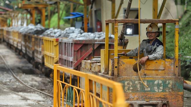 HPE Produk Pertambangan Kena Bea Keluar Periode Oktober 2023 Alami Fluktuasi