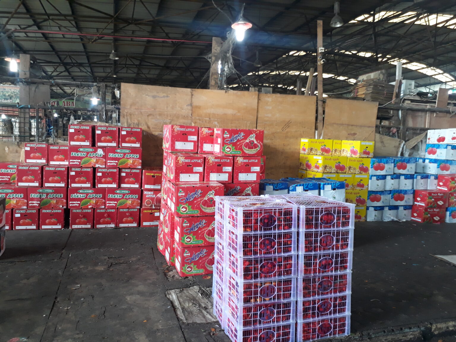 Ilustrasi PT Segar Kumala Indonesia Tbk (BUAH). dok. EmitenNews. Laporan Keuangan, Segar Kumala Indonesia (BUAH) Raih Penjualan Netto Rp1,33 Triliun