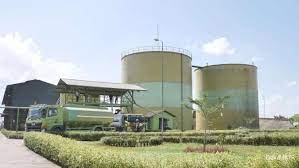 Ilustrasi PT Menthobi Karyatama Raya Tbk (MKTR). dok. Kontan. Aksi Korporasi Menthobi Karyatama Raya (MKTR) Akuisisi KSO Mulai Membuahkan Hasil