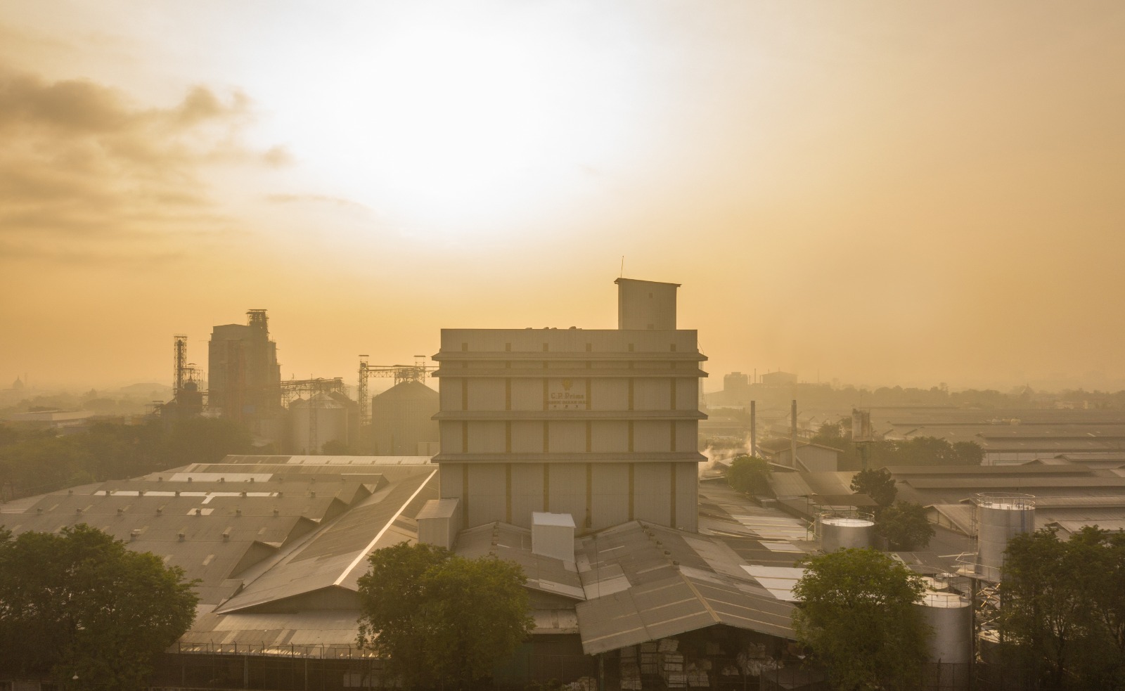 Kinerja Positif, Central Proteina Prima (CPRO) Lunasi Utang Trance A Lebih Awal