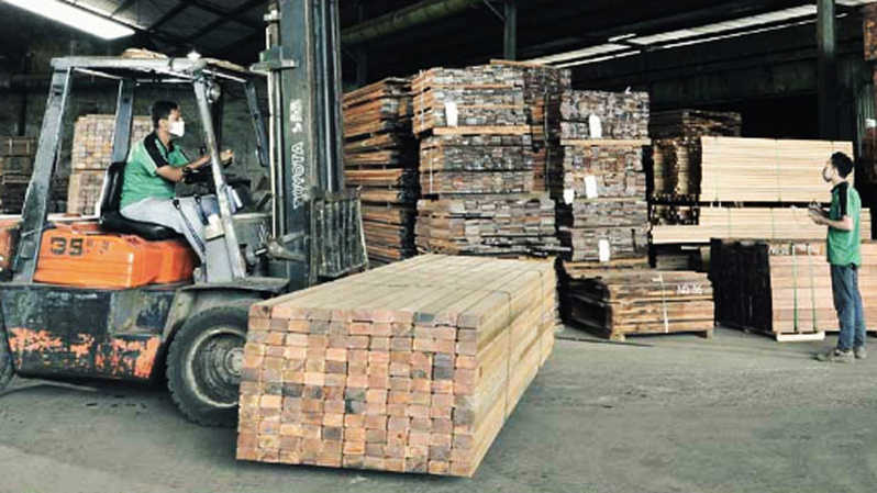 Tambah Modal, Darbe Makmur Divestasi 19,95 Juta Saham Darmi (KAYU) Rp45 per Lembar