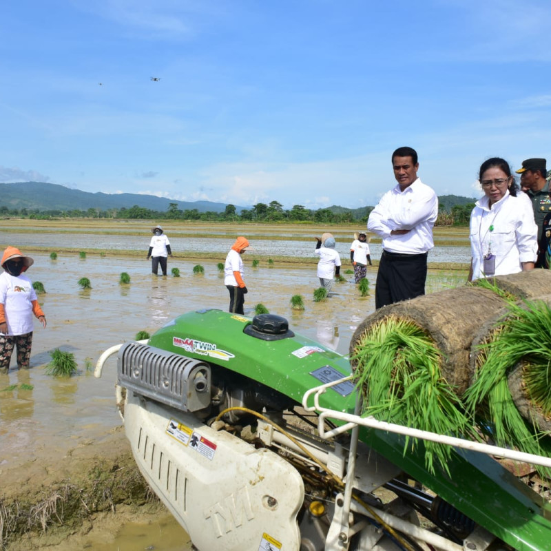 Kolaborasi Kementan-BRIN Untuk Akselerasi Tanam