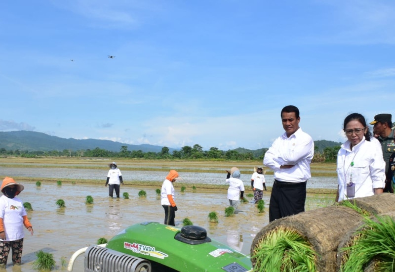Menteri Pertanian Andi Amran Sulaiman meninjau upaya peningkatan hasil pertanian. dok. Kementan. Kolaborasi Kementan-BRIN Untuk Akselerasi Tanam