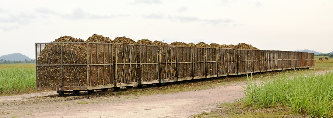 TBLA Siapkan Dana Bayar Bunga Obligasi