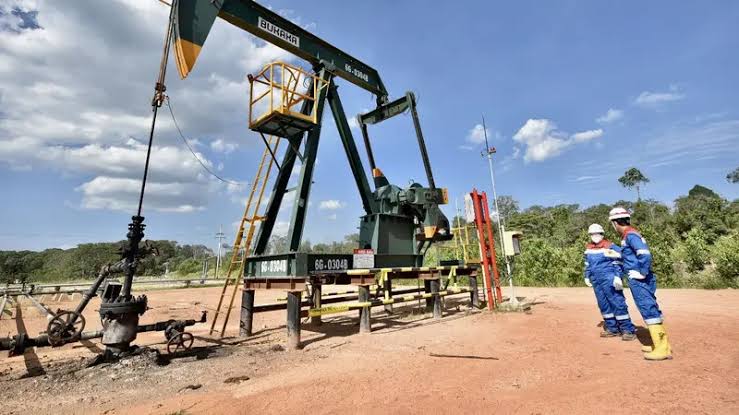 PetroChina International Jabung Ltd. yang berkontrak dengan SKK Migas telah melakukan tajak sumur eksplorasi NEB BASEMENT-3 SKK Migas - Petrochina Jabung Tajak Sumur Eksplorasi NEB Basement-3