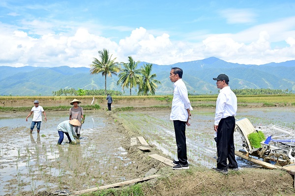 Mantan Menteri Pertanian, Bungaran Saragih, mengusulkan kepada pemerintahan mendatang untuk membentuk menteri koordinator bidang pangan dan agribisnis. Mantan Mentan: Indonesia Perlu Menko Pangan dan Agribisnis