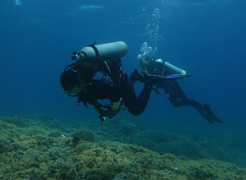 Ilustrasi aktivitas selam dan snorkeling. dok. KKP. Kelestarian jadi Prioritas, KKP Atur Kouta Wisata Kawasan Konservasi