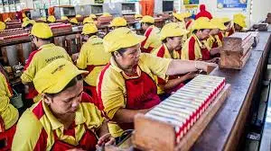 HM Sampoerna (HMSP) Putuskan Bagi Dividen Rp8,06T, Ini Jadwalnya