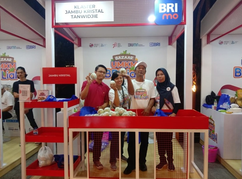 Suyanto, 46 tahun, Ketua Klaster Jambu Kristal Tanwidjie mengungkapkan, nama “tanwidjie” berasal dari akronim Bahasa Jawa “tanpa wiji”, atau tanpa biji dalam Bahasa Indonesia. Dalam membudidayakan tanamannya, pria asal Munggangsari, Grabag, Purworejo itu, mengaku terbantu dengan KUR BRI. dok. BRI. KUR BRI Dorong Kemajuan Klaster Jambu Kristal Yanto di Purworejo