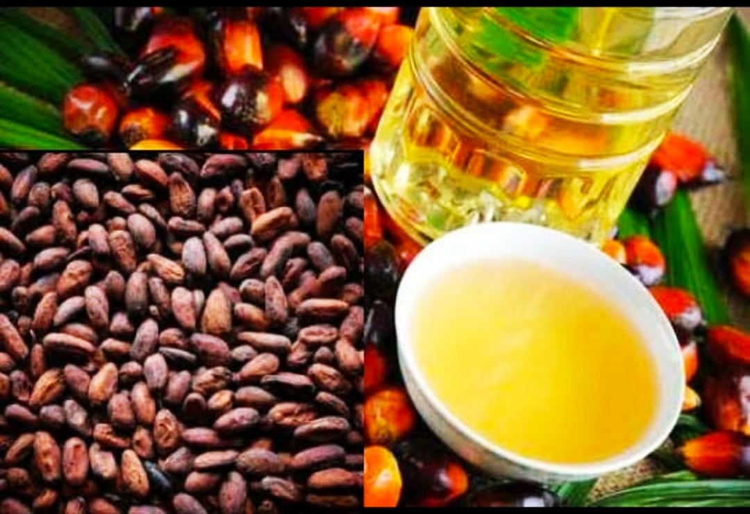 Harga Referensi (HR) komoditas minyak kelapa sawit (Crude Palm Oil/CPO) untuk penetapan Bea Keluar (BK) dan tarif Badan Layanan Umum Badan Pengelola Dana Perkebunan Kelapa Sawit (BLU BPDP-KS), atau biasa dikenal sebagai Pungutan Ekspor (PE), untuk periode Juli 2024 adalah sebesar USD800,75/MT. Harga Referensi CPO dan Biji Kakao Periode Juli 2024 Naik Segini
