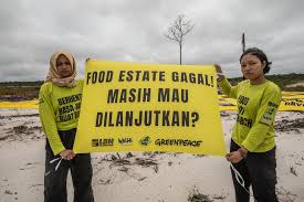 Ilustrasi protes atas program food estate oleh para aktivis. Dok. Save Our Borneo. Program Food Estate Gagal, Mentan Ungkap Penyebab Utamanya