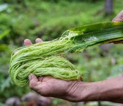 Malaysia Cabut Bea Masuk Anti Dumping Serat Selulosa Asal Indonesia