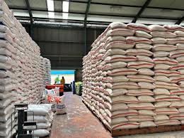 Stok Beras Diprediksi Capai 4 Juta Ton, Sumringah Betul Mentan Amran