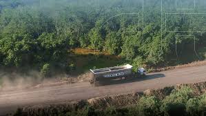 Kurangi Kepemilikan, Lim Oi Wah Jual 9,1 Juta Lembar Saham TEBE