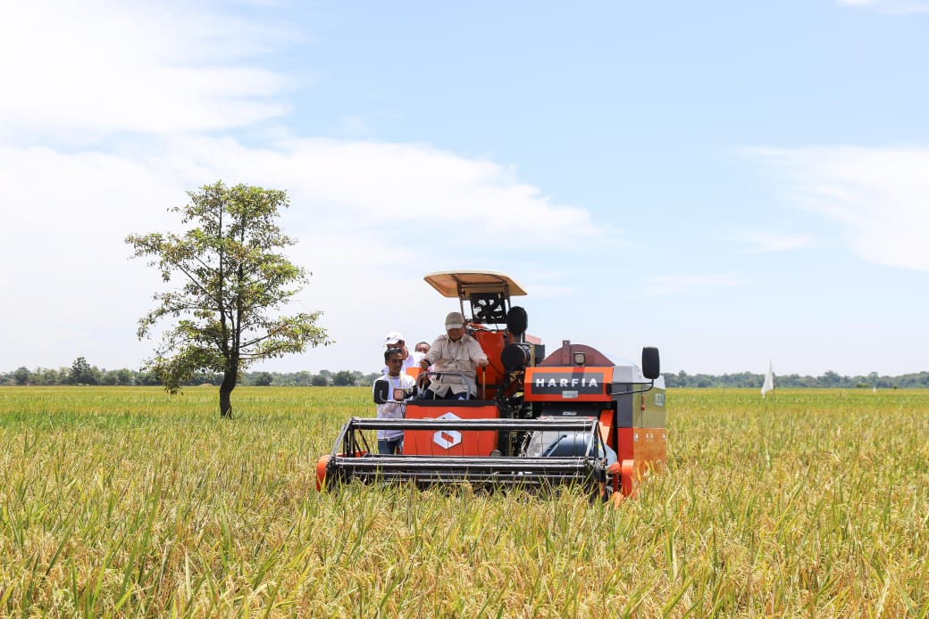 Produksi Beras RI Terbesar di ASEAN, Ungguli Vietnam dan Thailand