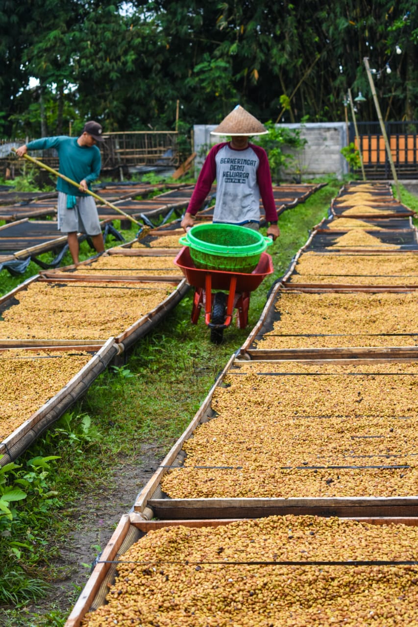 New Wave Kopi: Inovasi dan Tradisi dalam Secangkir Kopi