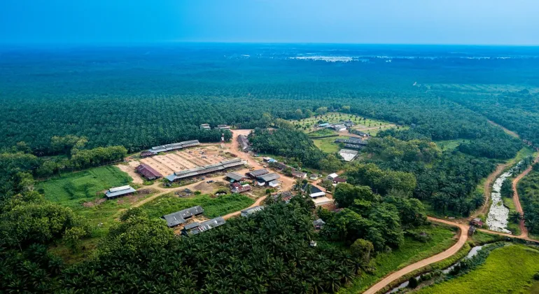 Pulau Subur (PTPS) Tebar Dividen Rp3,8 per Helai, Intip Jadwalnya