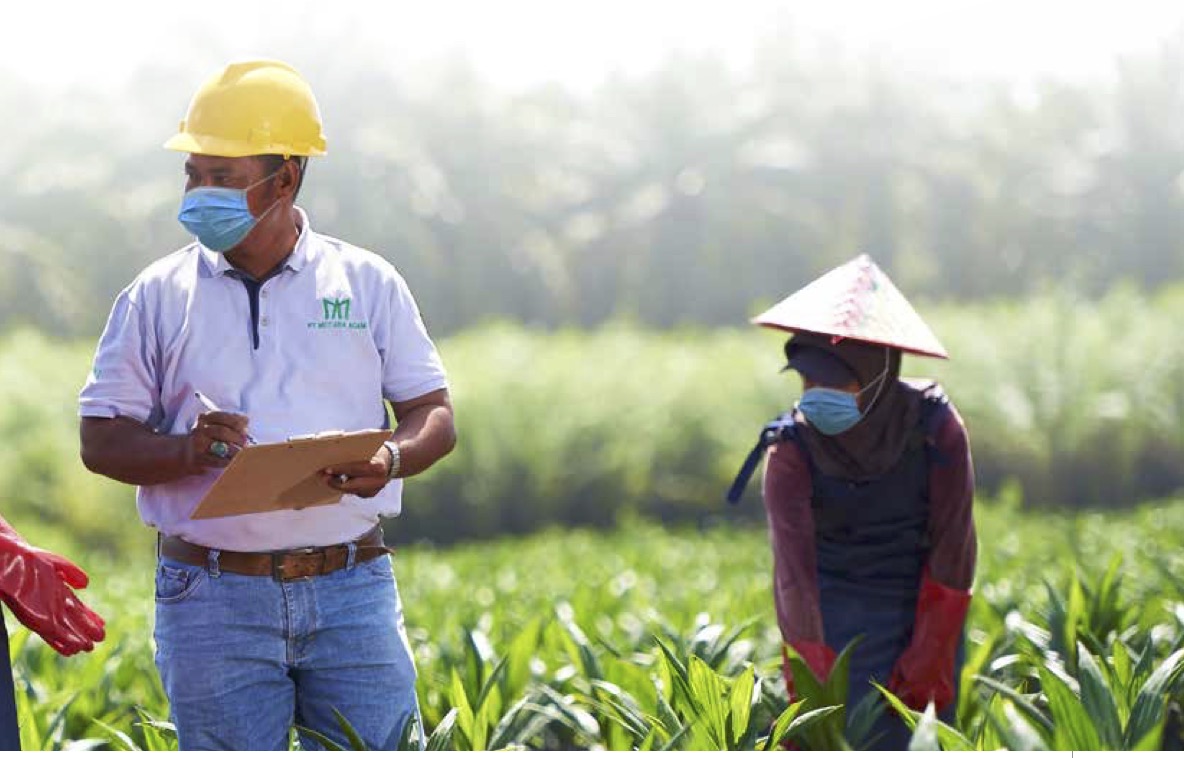 Right Issue 4,71 Miliar Lembar, 25 Juni 2025 PALM Izin Pemodal