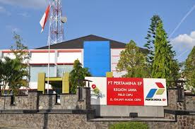 BPK Ungkap Dua Anak Usaha Pertamina Ini Bayar Dividen dari Utang