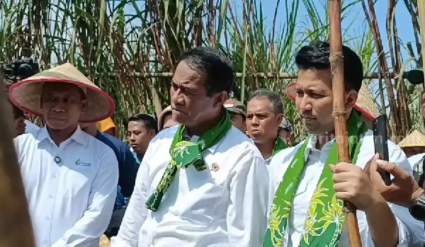 Sukses Genjot Produksi Beras dan Jagung, Mentan Kini Benahi Tebu