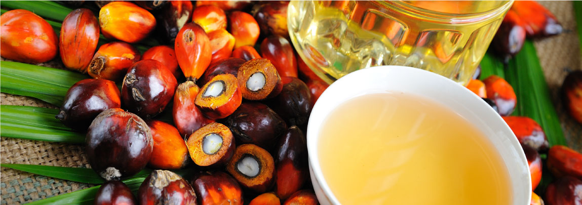 TBLA Jadwalkan Pembagian Dividen, Yield 1,6 Persen